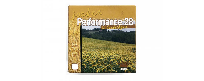 PERFORMANCE 28 BJ .16 PLOMB 9