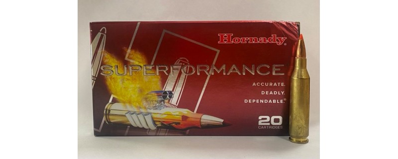 BOITE DE 20 CARTOUCHES HORNADY 243WIN 95GR SST SPF