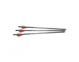 3 FLECHES POUR UMAREX AIRJAVELIN AVEC FIELD TIP