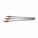 3 FLECHES POUR UMAREX AIRJAVELIN AVEC FIELD TIP