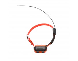 COLLIER SUPPLEMENTAIRE NUMAXE POUR CANICOM GPS ORANGE