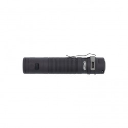 LAMPE WALTHER EFC2 1000 LUMENS