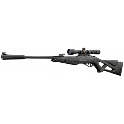 CARABINE GAMO WHISPER 10X IGT GEN2 + LUNETTE 3.9x40