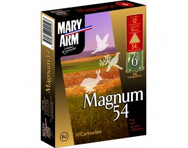 10 CARTOUCHES MARY ARM MAGNUM 54 BJ LAITONNE CALIBRE 12/76