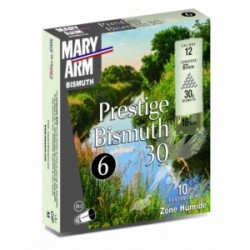 MARY ARM BISMUTH 30 CAL12 BJ N2