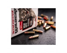 400 CARTOUCHES WINCHESTER M22 TARGET 40GR LEAD RN CALIBRE 22LR