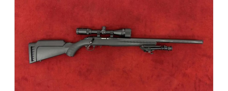 D - RUGER PRECISION SILENCE 22LR + LUNETTE + BIPIED