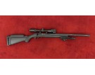 D - RUGER PRECISION SILENCE 22LR + LUNETTE + BIPIED