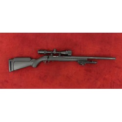 D - RUGER PRECISION SILENCE 22LR + LUNETTE + BIPIED