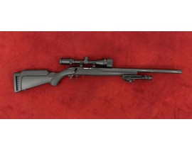 D - RUGER PRECISION SILENCE 22LR + LUNETTE + BIPIED