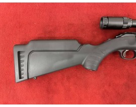 D - RUGER PRECISION SILENCE 22LR + LUNETTE + BIPIED