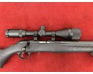 D - RUGER PRECISION SILENCE 22LR + LUNETTE + BIPIED