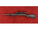 D - RUGER PRECISION SILENCE 22LR + LUNETTE + BIPIED