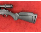 D - RUGER PRECISION SILENCE 22LR + LUNETTE + BIPIED