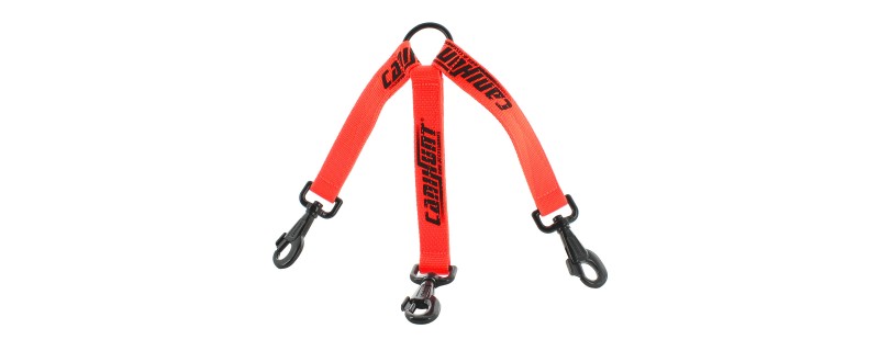 CANIHUNT ACCOUPLE HUNTER 3 CHIENS SANGLE PLATE