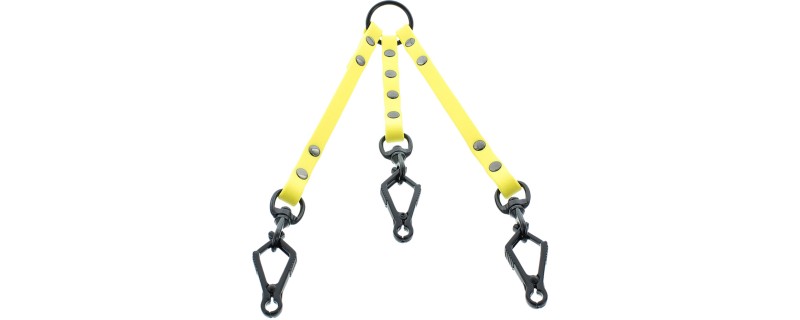 CANIHUNT ACCOUPLE HUNTER 3 CHIENS SANGLE PLATE