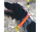 CANIHUNT CLOCHE ALP H6CM JAUNE PASSANT COLLIER DE 28MM