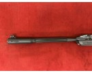 GAMO ROASDTER IGT 4.5