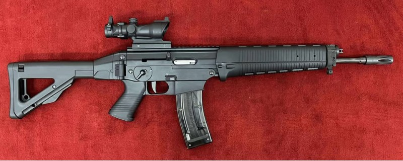 OCCASION B - SIG SAUER 522 22LR