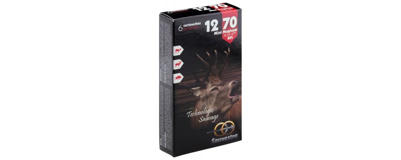 6 BALLES FLECHES SAUVESTRE CALIBRE 20/70