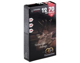 6 BALLES FLECHES SAUVESTRE CALIBRE 20/70