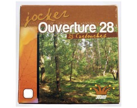 OUVERTURE 28 BG .20 PLOMB 6